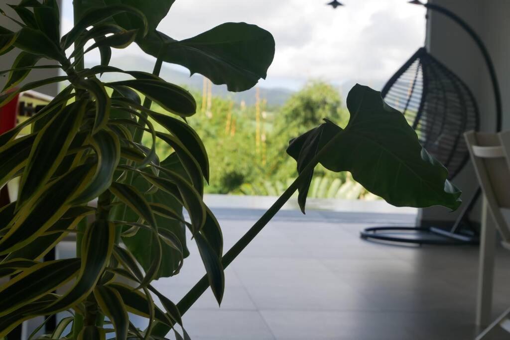 Villa Kumquat, avec piscine Clévacances 4 clés Petit-Bourg Extérieur photo