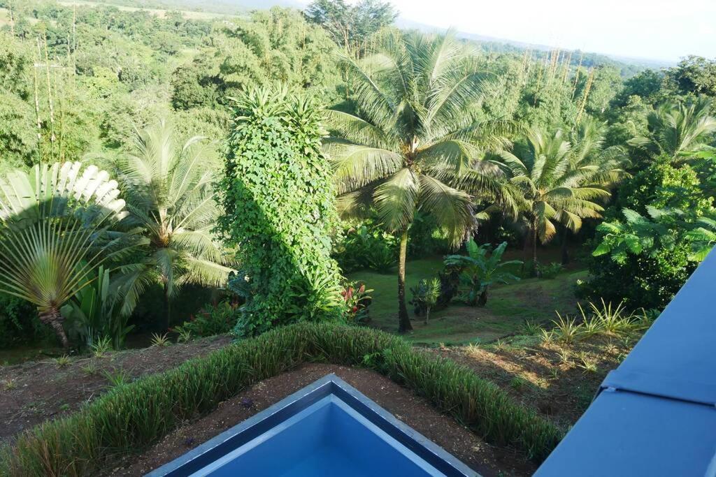 Villa Kumquat, avec piscine Clévacances 4 clés Petit-Bourg Extérieur photo